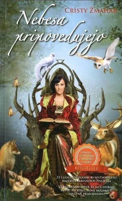 nebesa pripovedujejo darilo cd z nebeško glasbo 2111 1