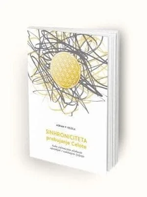 sinhroniciteta1 1