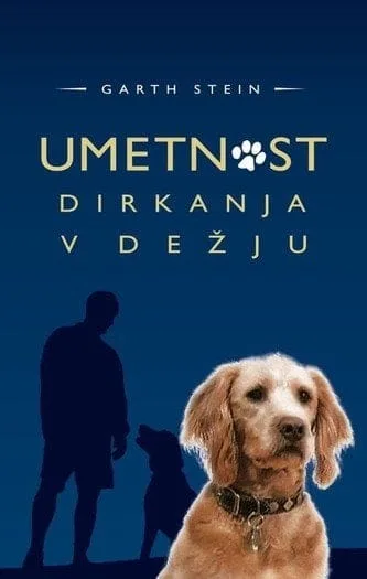 umetnost dirkanja v dežju 1075 1