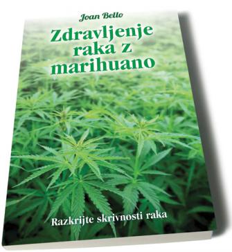 Zdravljenje raka z marihuano 4