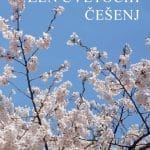 Zen cvetočih češenj