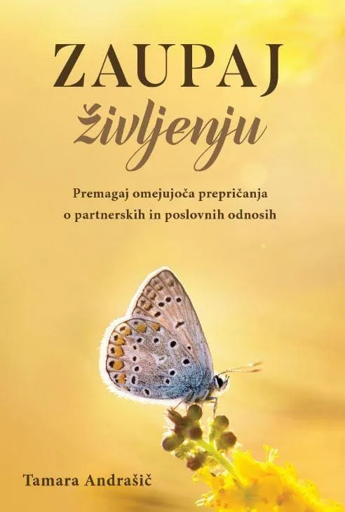 Vozim skozi življenje 6