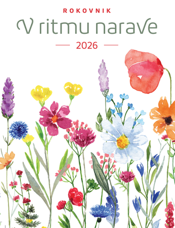 Rokovnik 2026: V ritmu narave - Travniške cvetlice